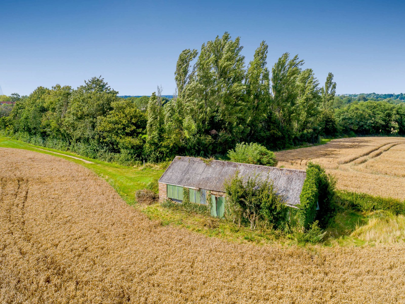 The Doe Shed