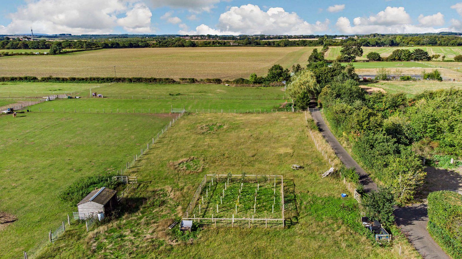 Aerial Paddock