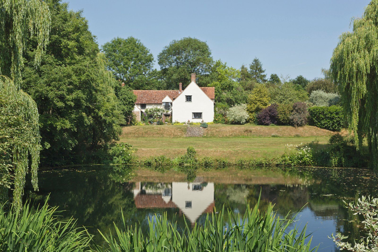 Exterior rear garden