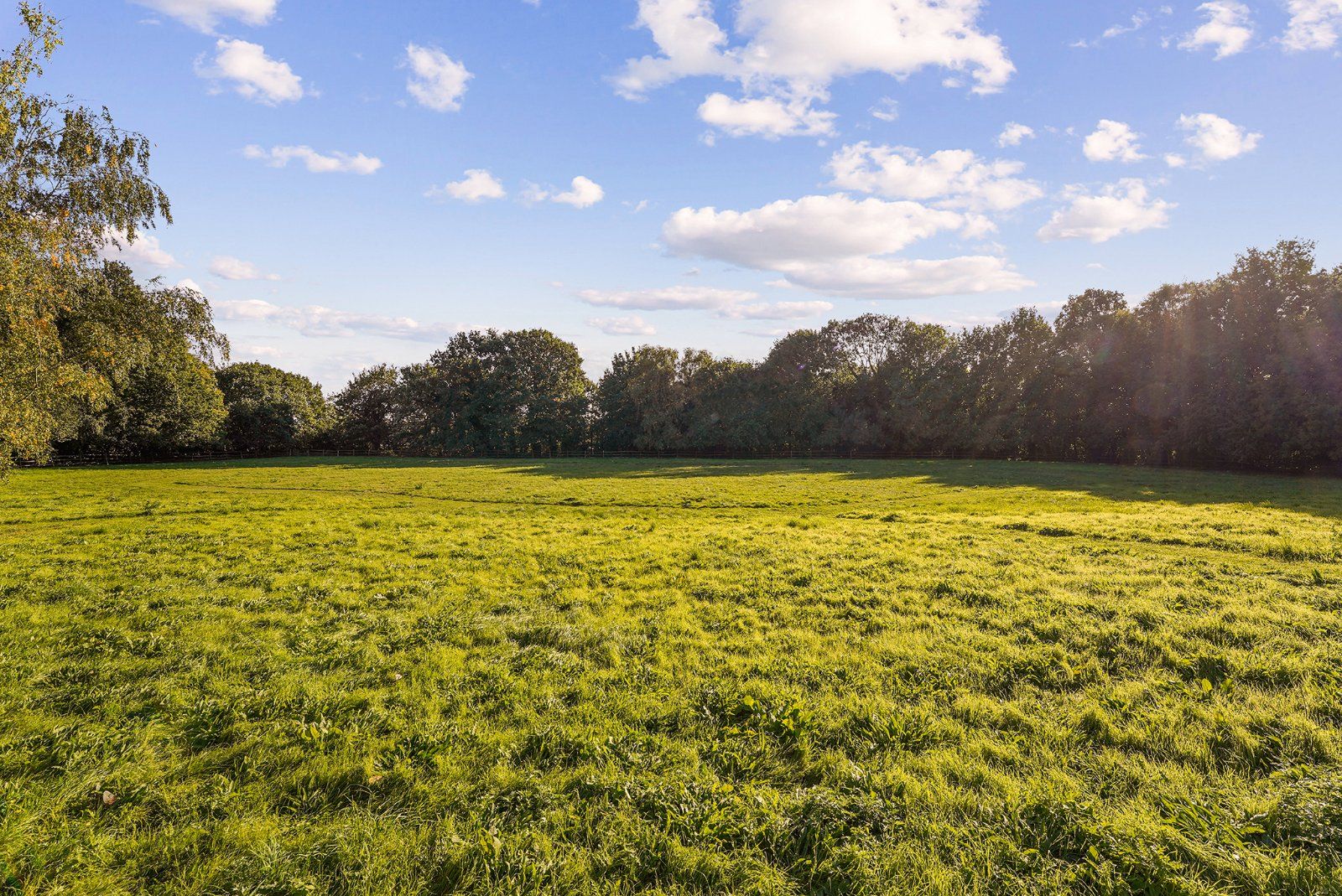 Grounds