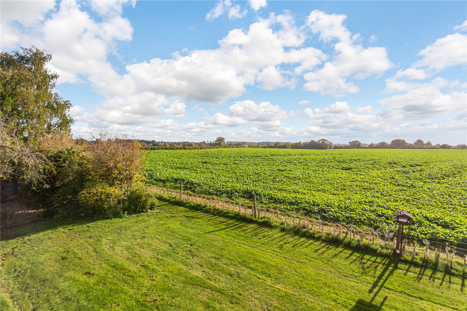 Countryside Views