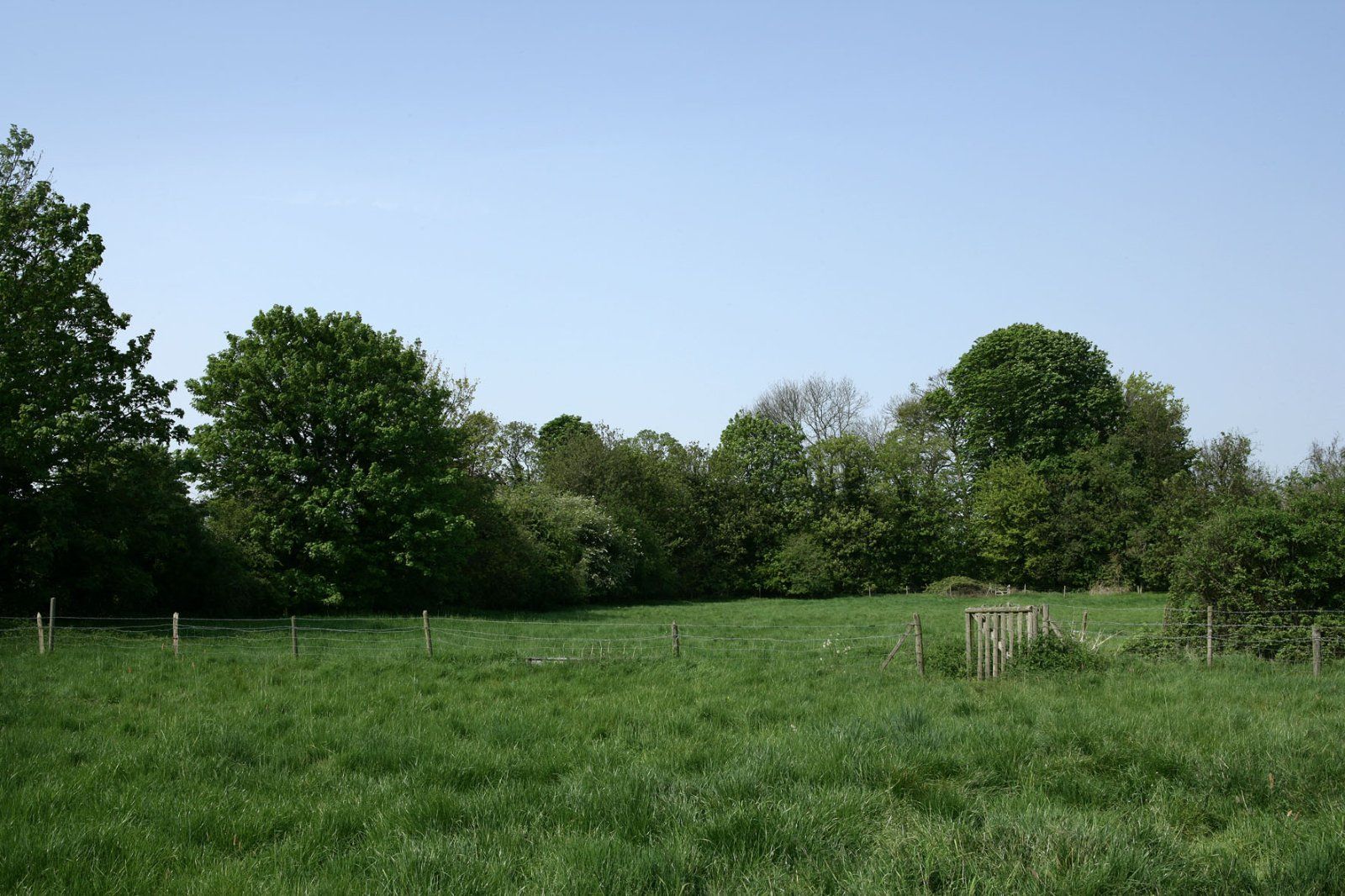 Picture No. 33