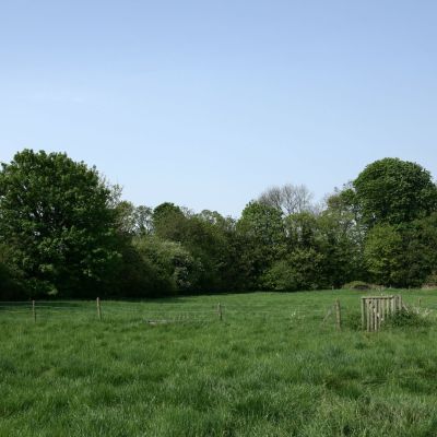 Picture No. 33