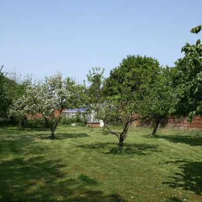 Picture No. 34