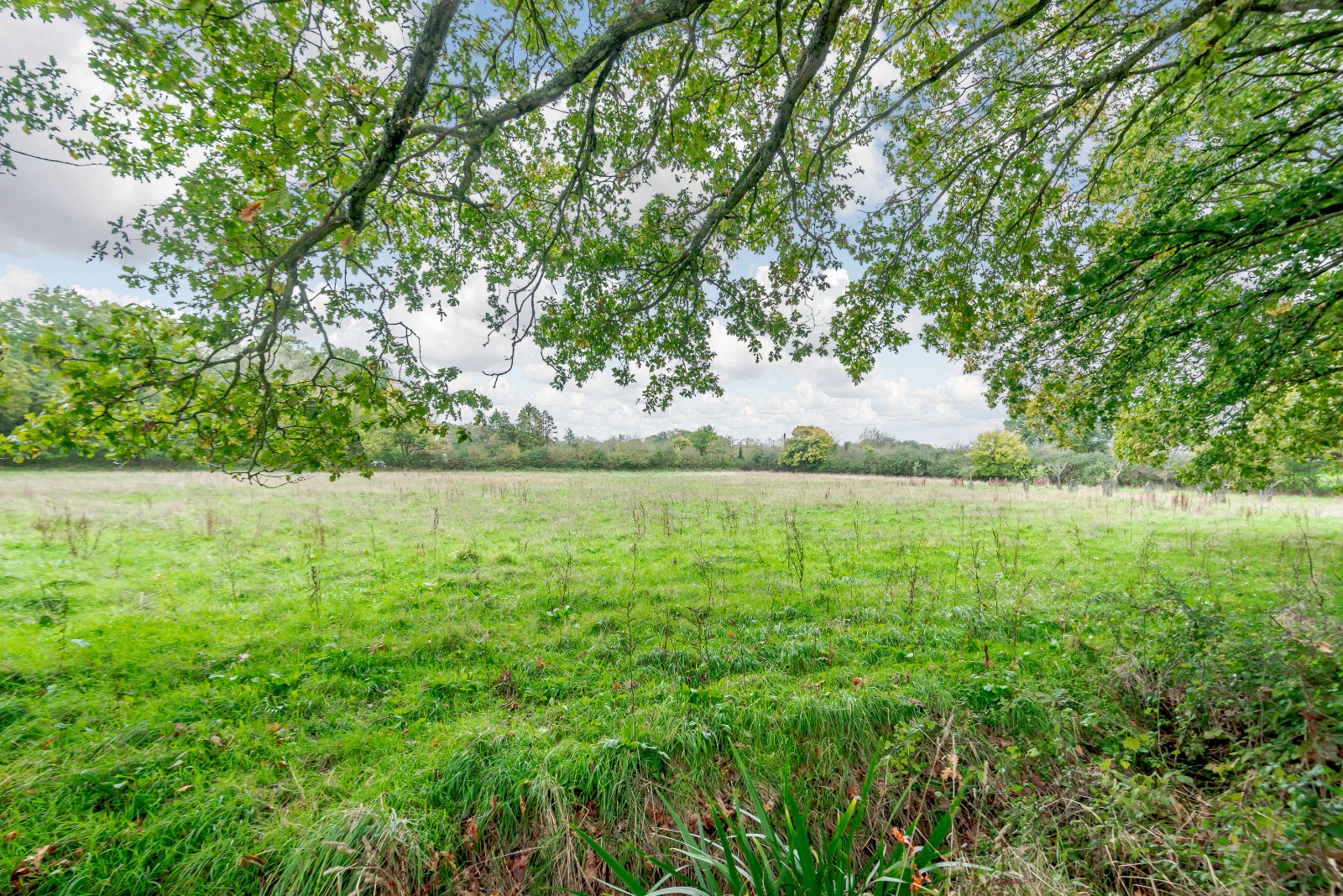 Grounds