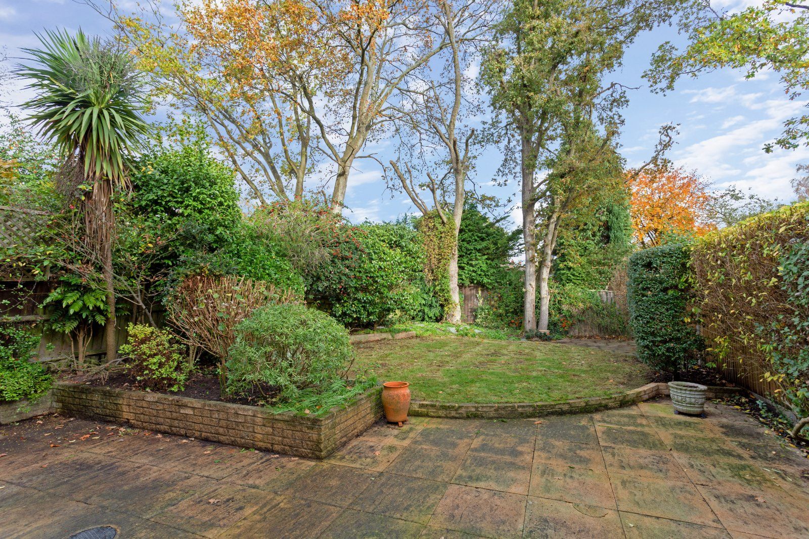 Patio and Garden