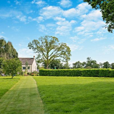 Gardens