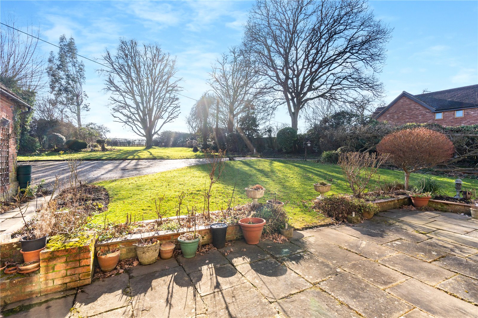 Terrace & Garden