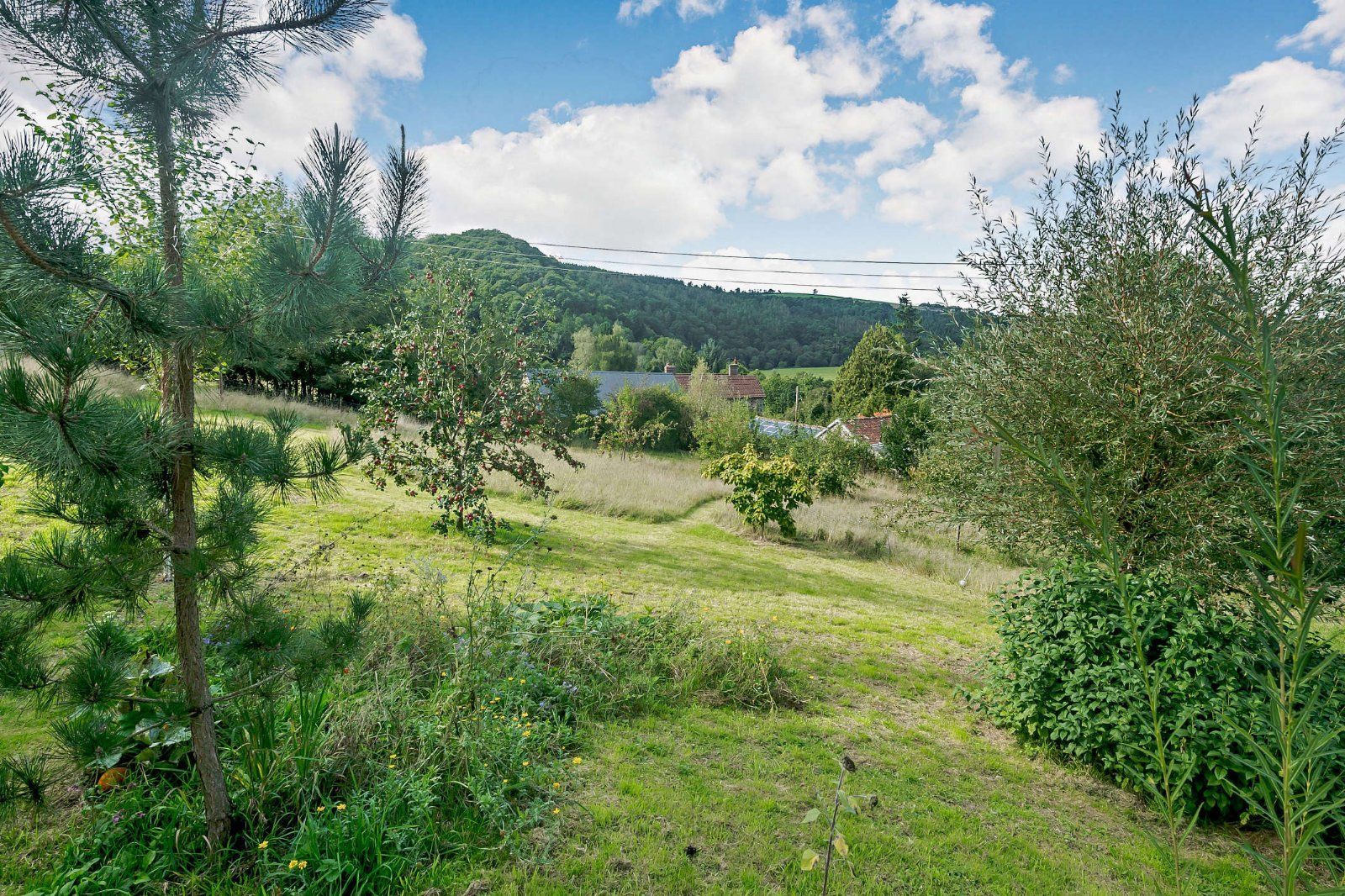 Meadow & Orchard