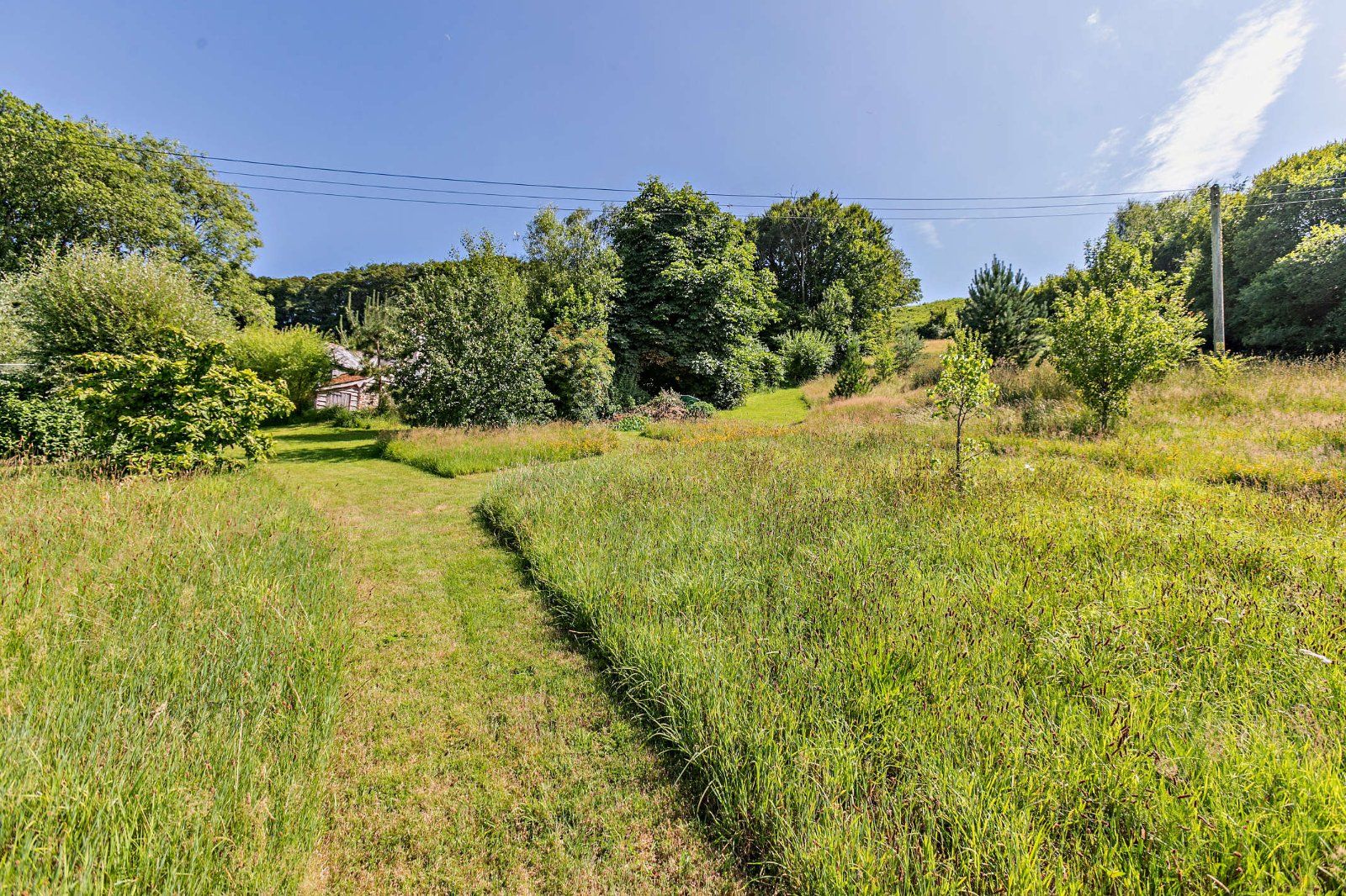 Grounds