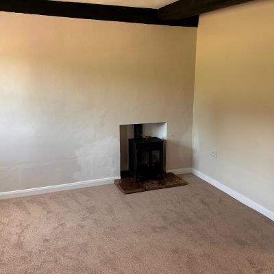 Living Room Stove