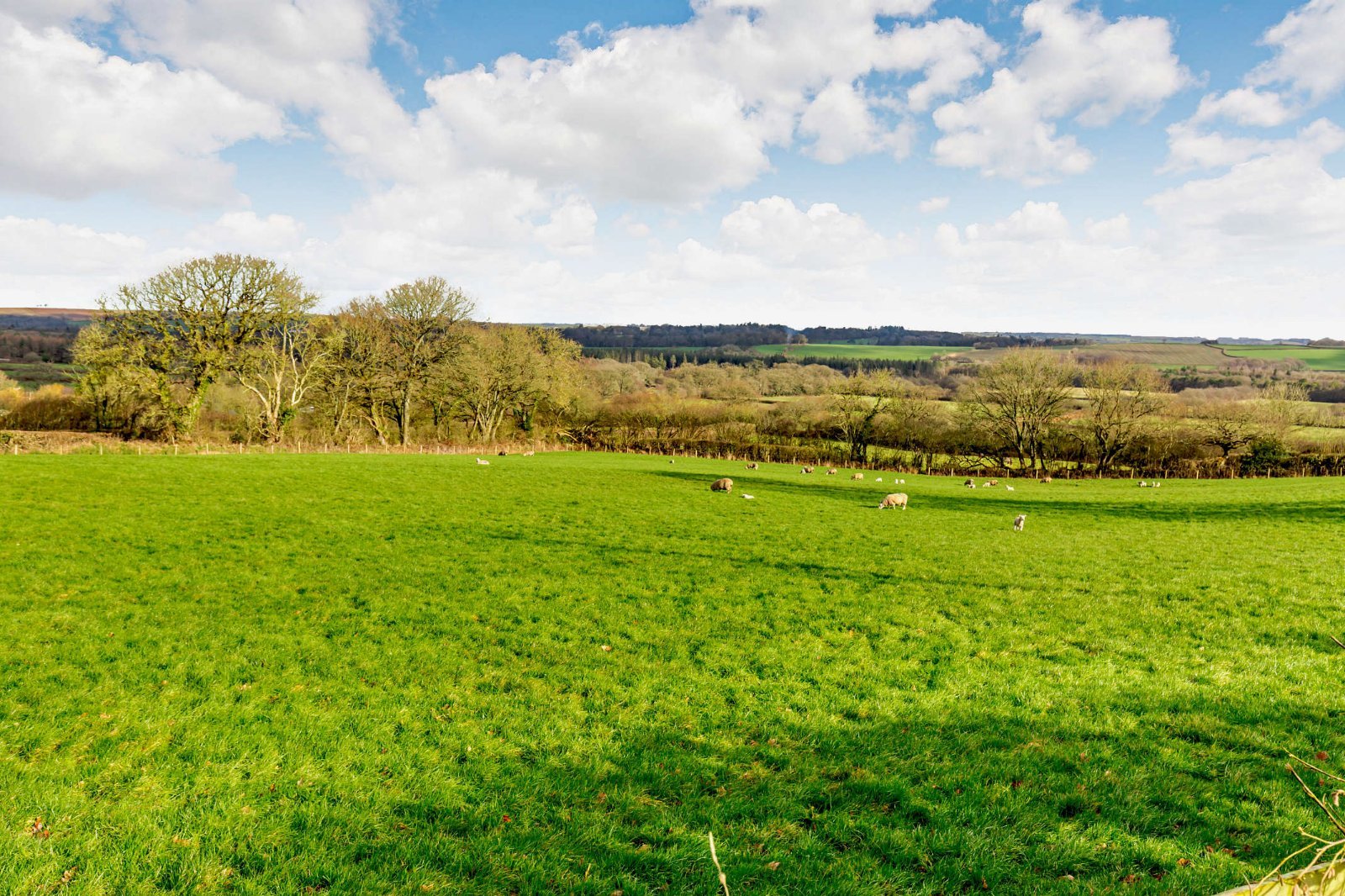Grounds