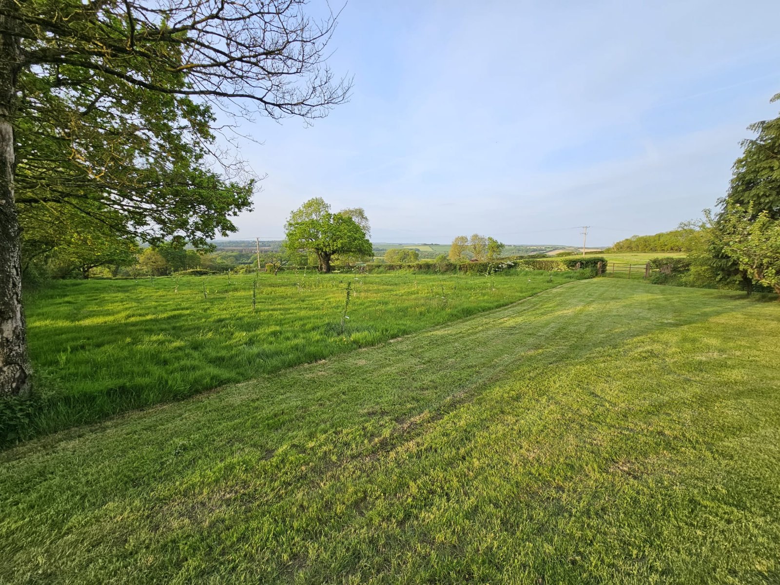 Grounds