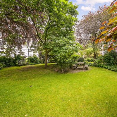Communal Garden
