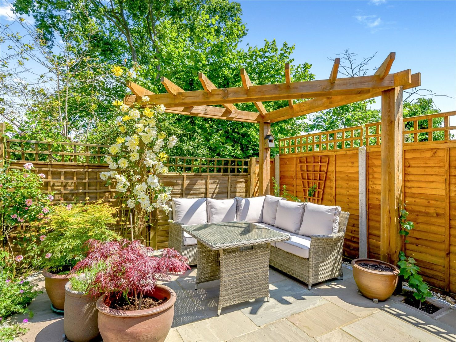 Garden