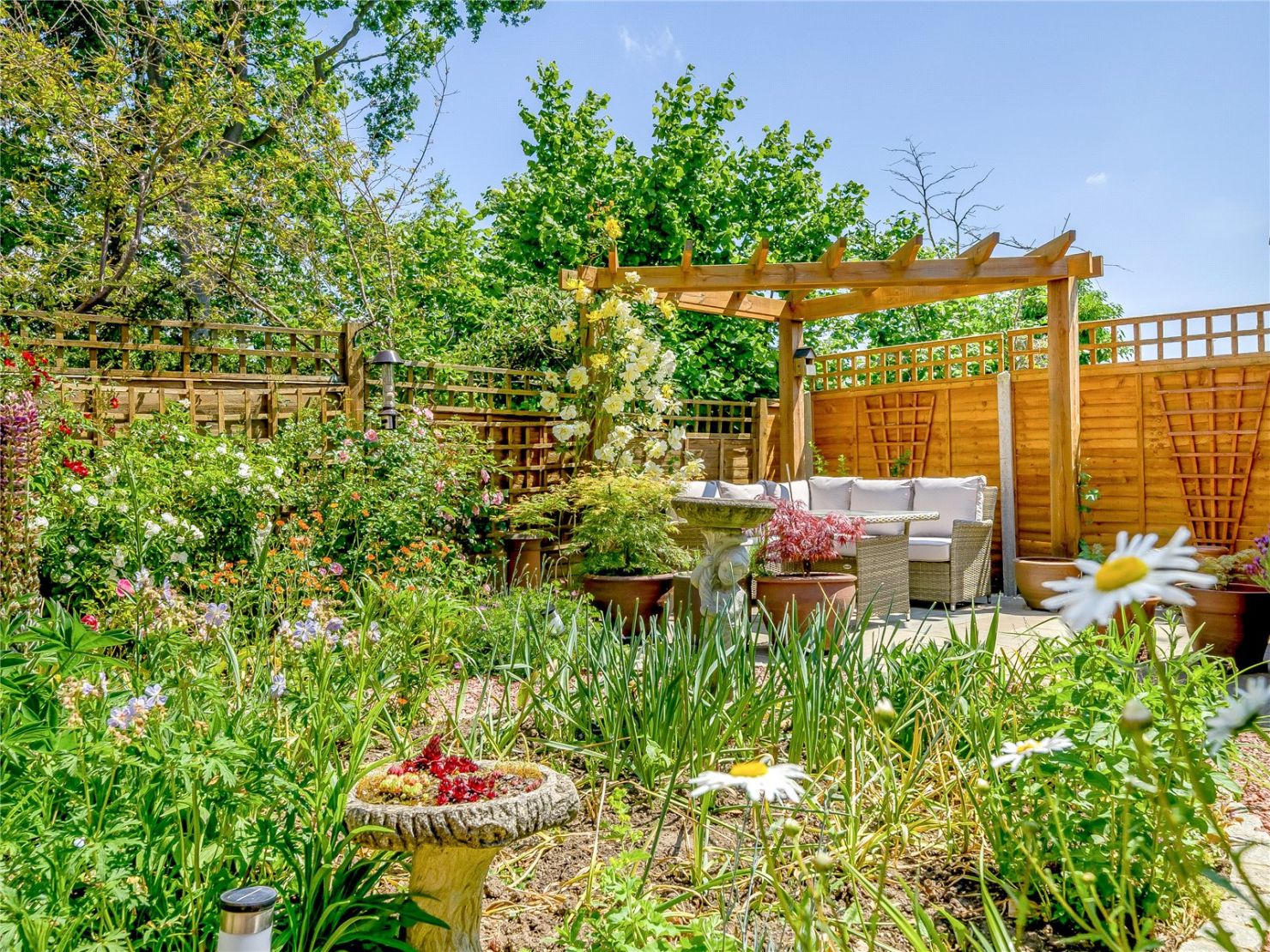 Garden