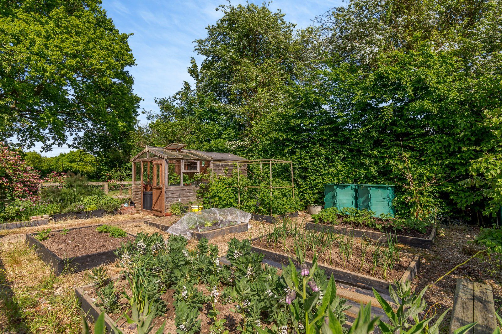 Garden