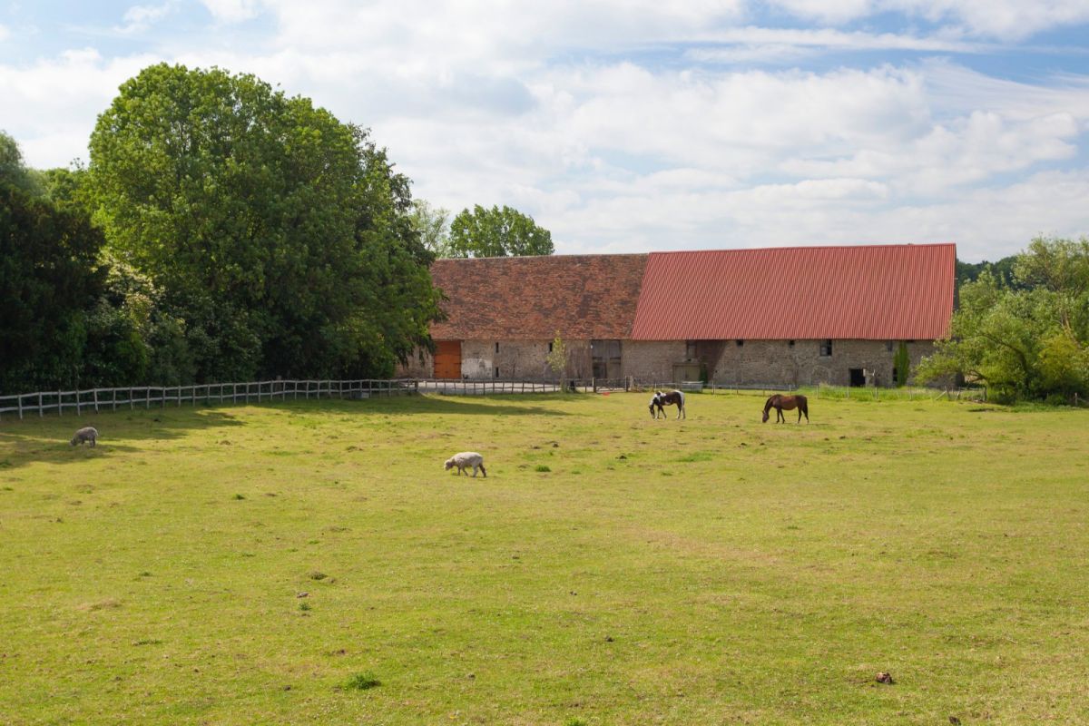 Boxley Abbey Barn