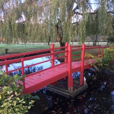 Natural Pond/Bridge