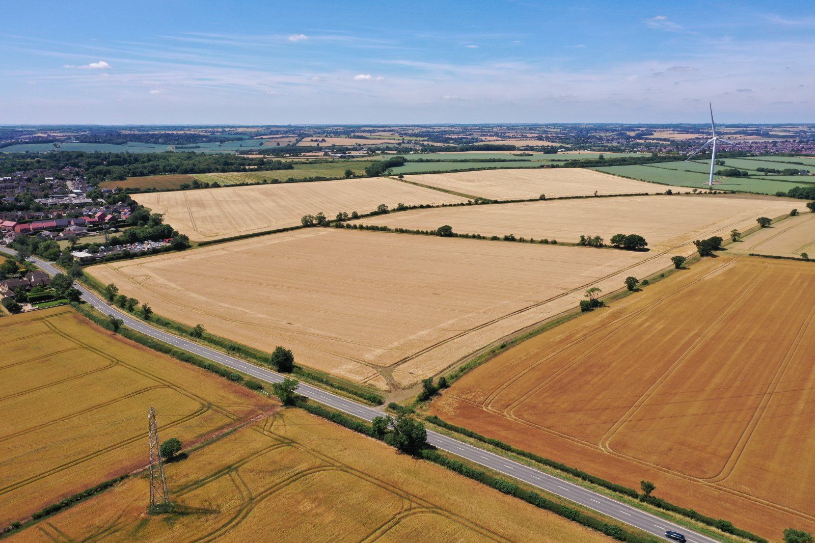 Buccleuch Farm