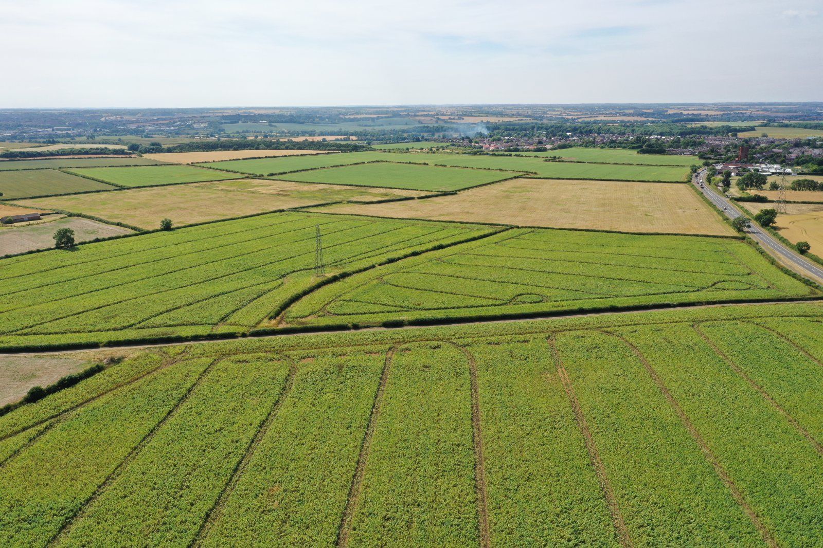 Cherry Hill Farm