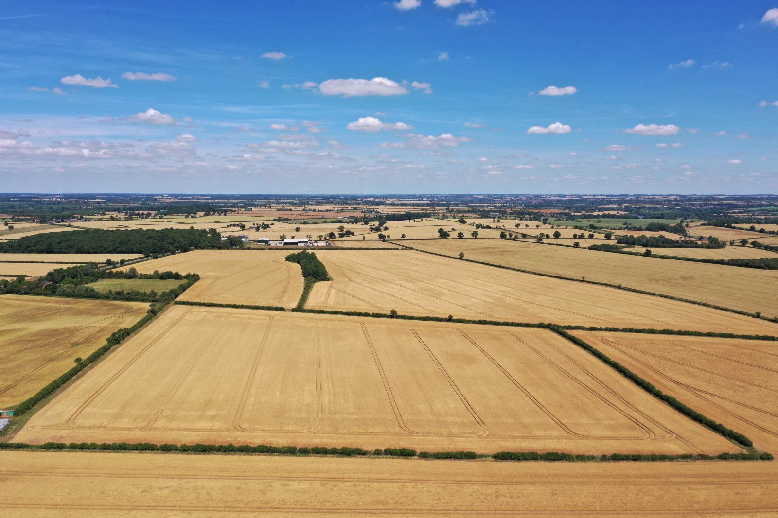 Poplar Lodge Farm