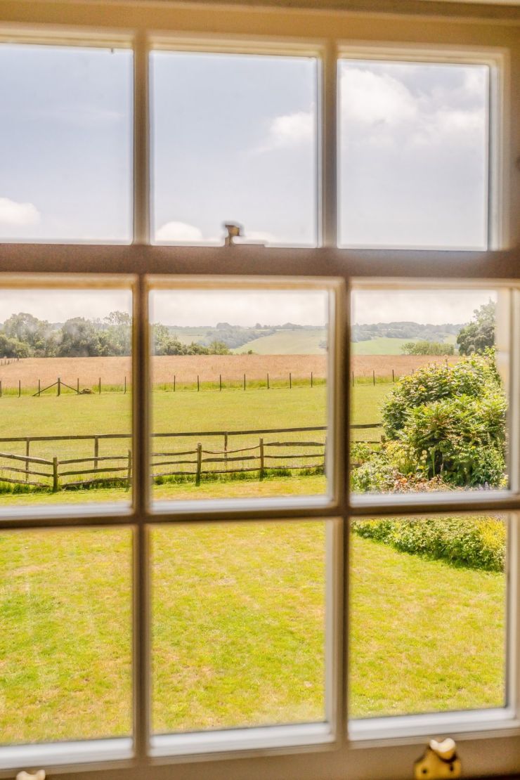 View From Window