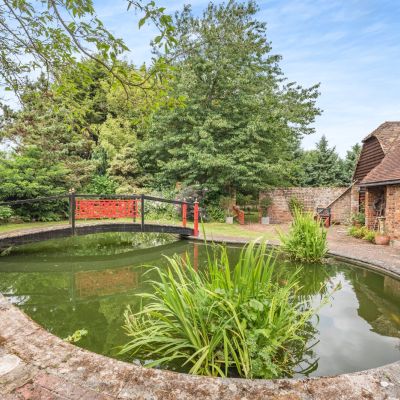 Pond