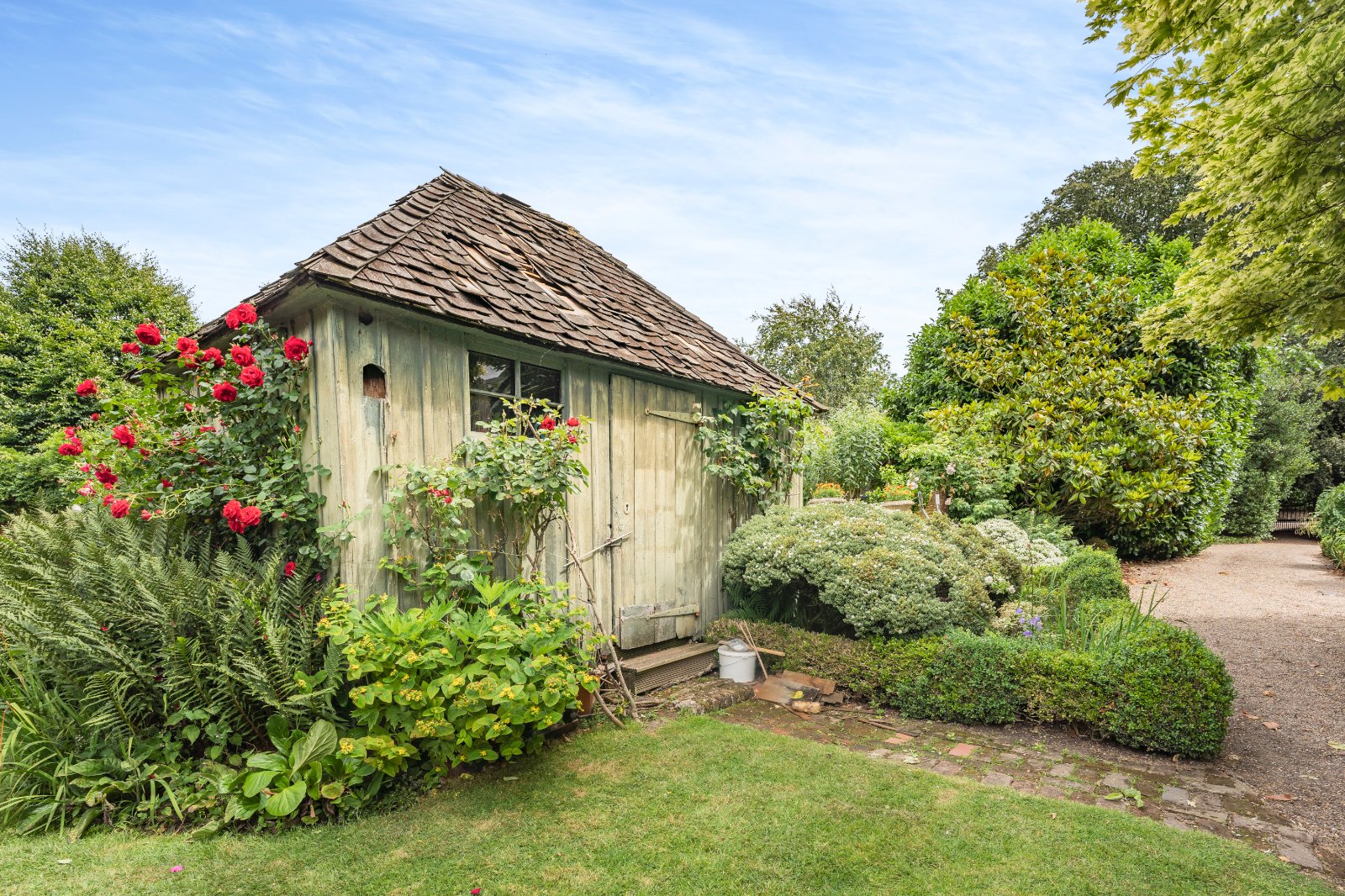 Garden