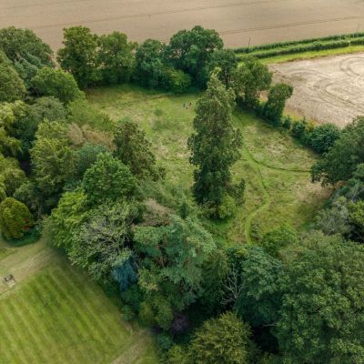 Woodland Gardens