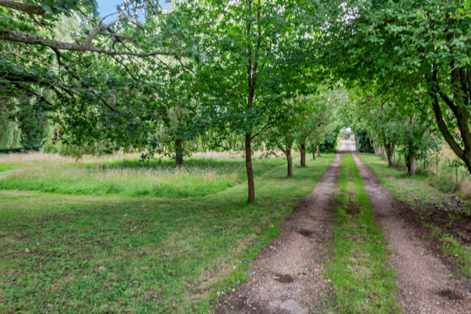 Driveway