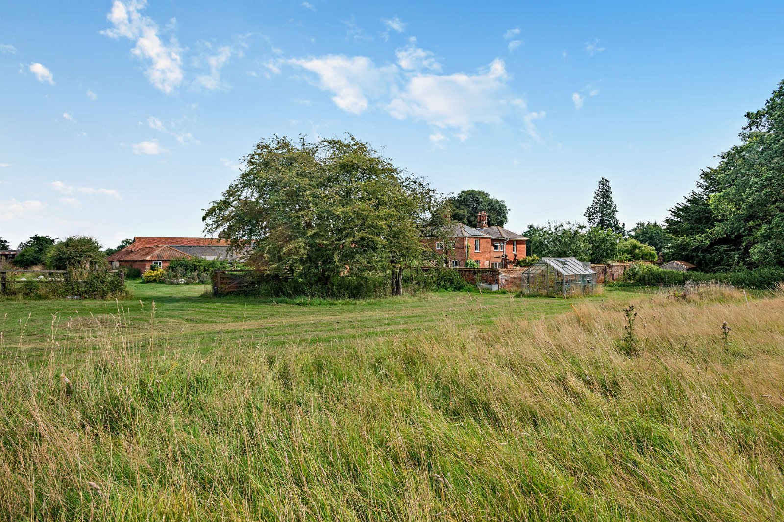 Rear Gardens