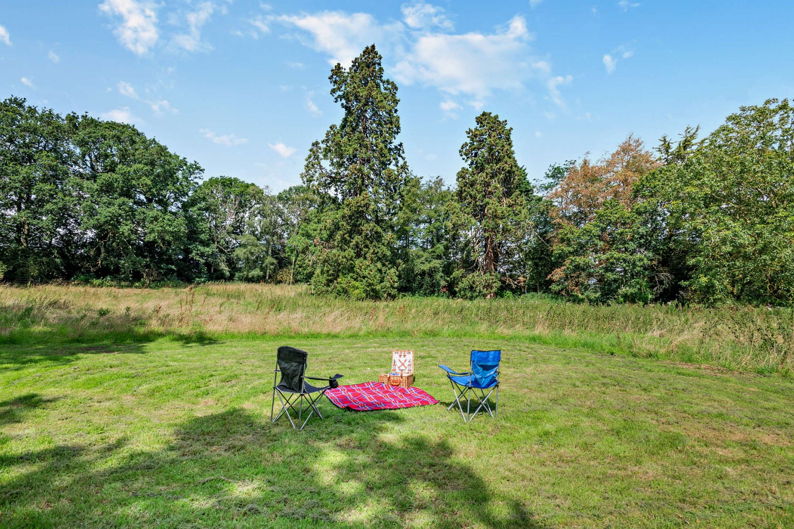 Woodland Gardens