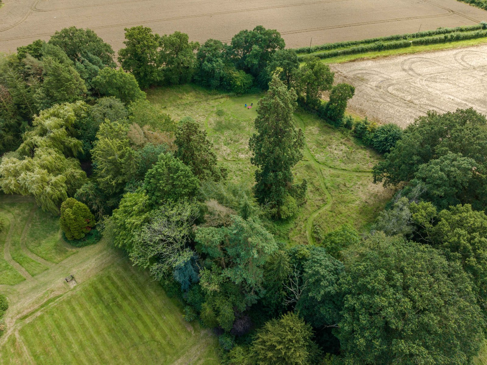 Woodland Gardens