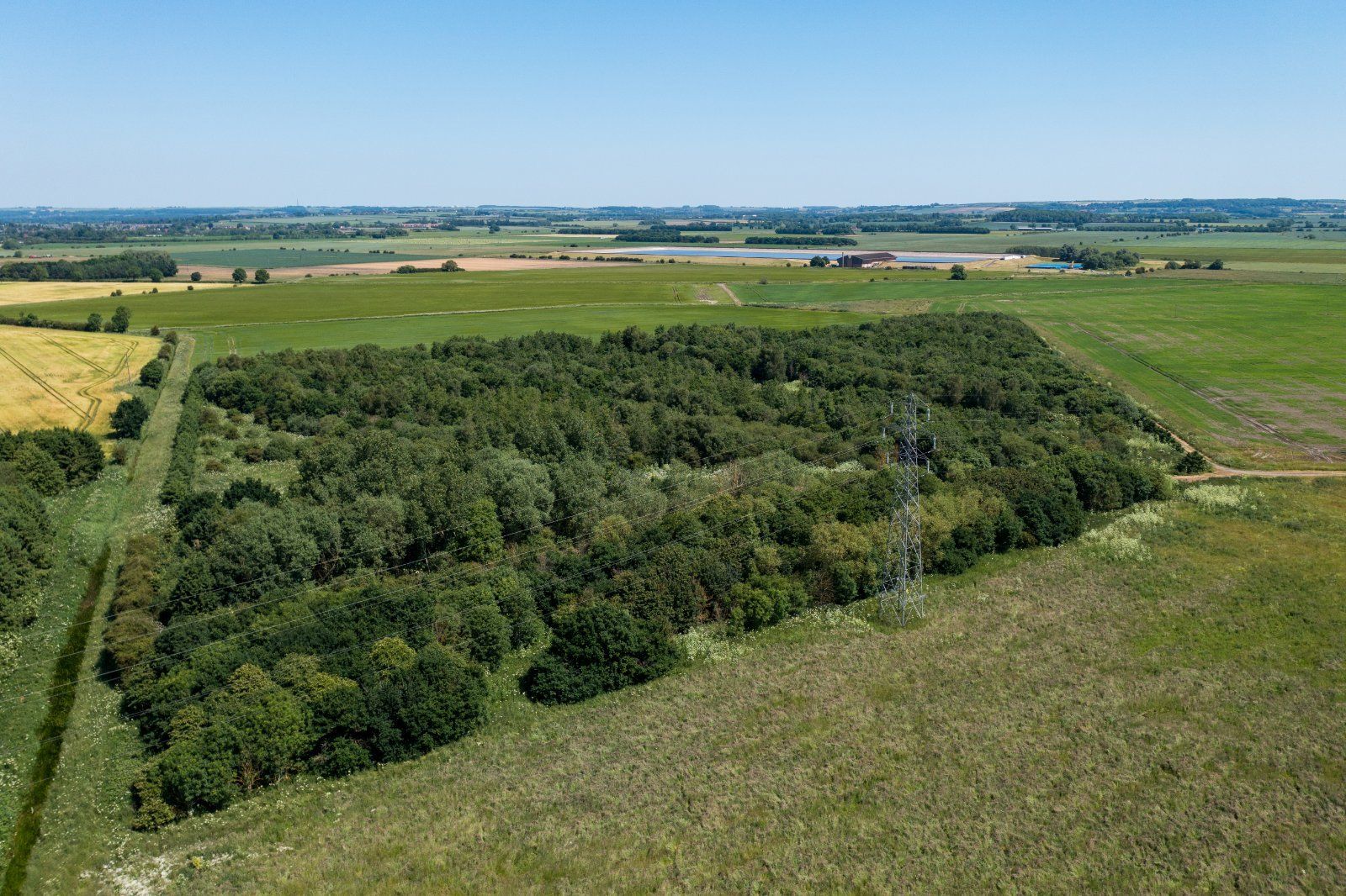 Lot 1 Woods