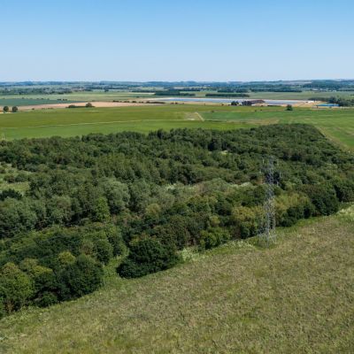 Lot 1 Woods