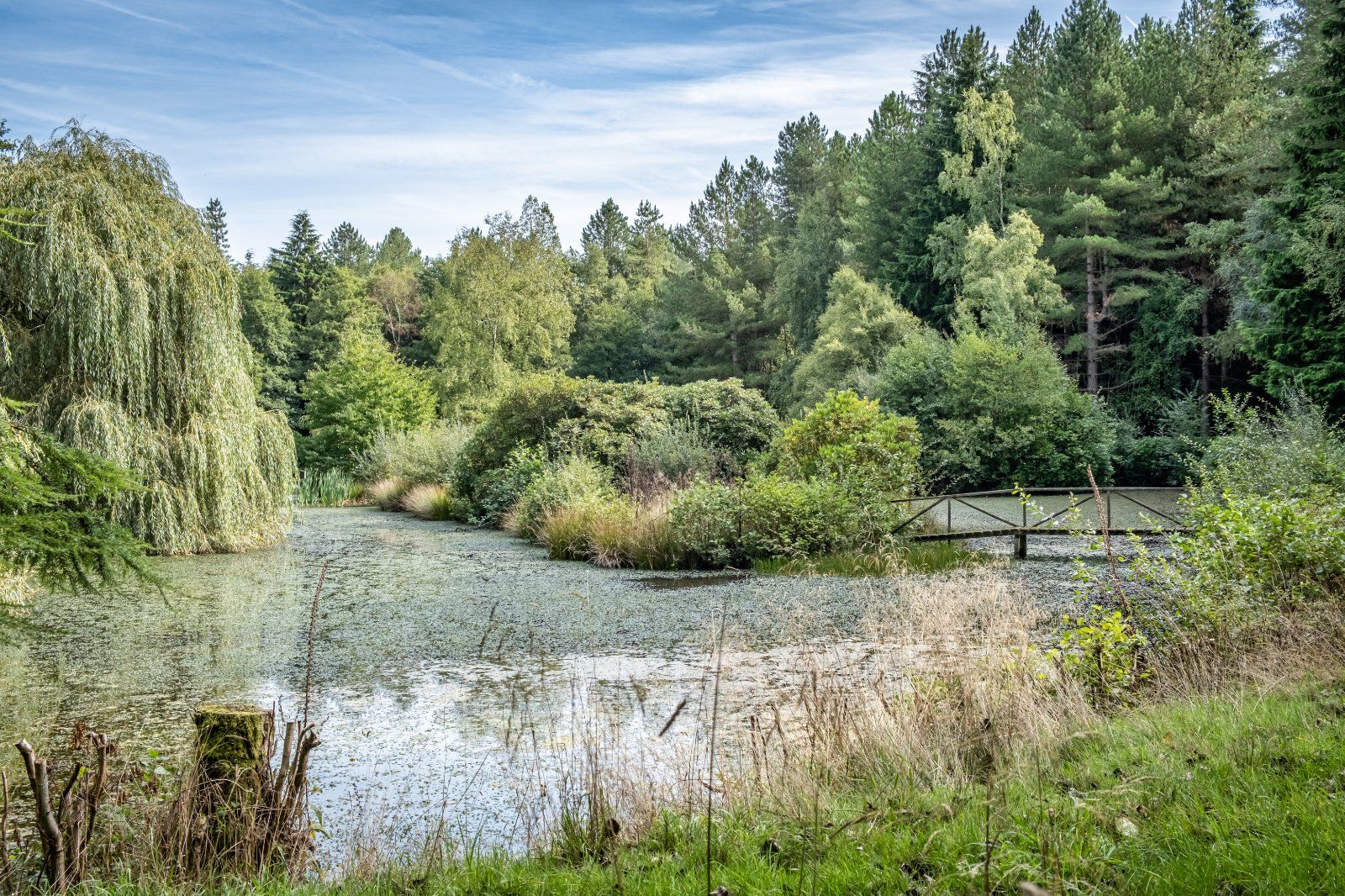 Lake