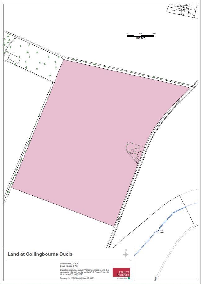 Sales Plan