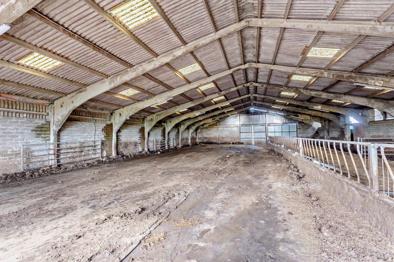 Lot 1