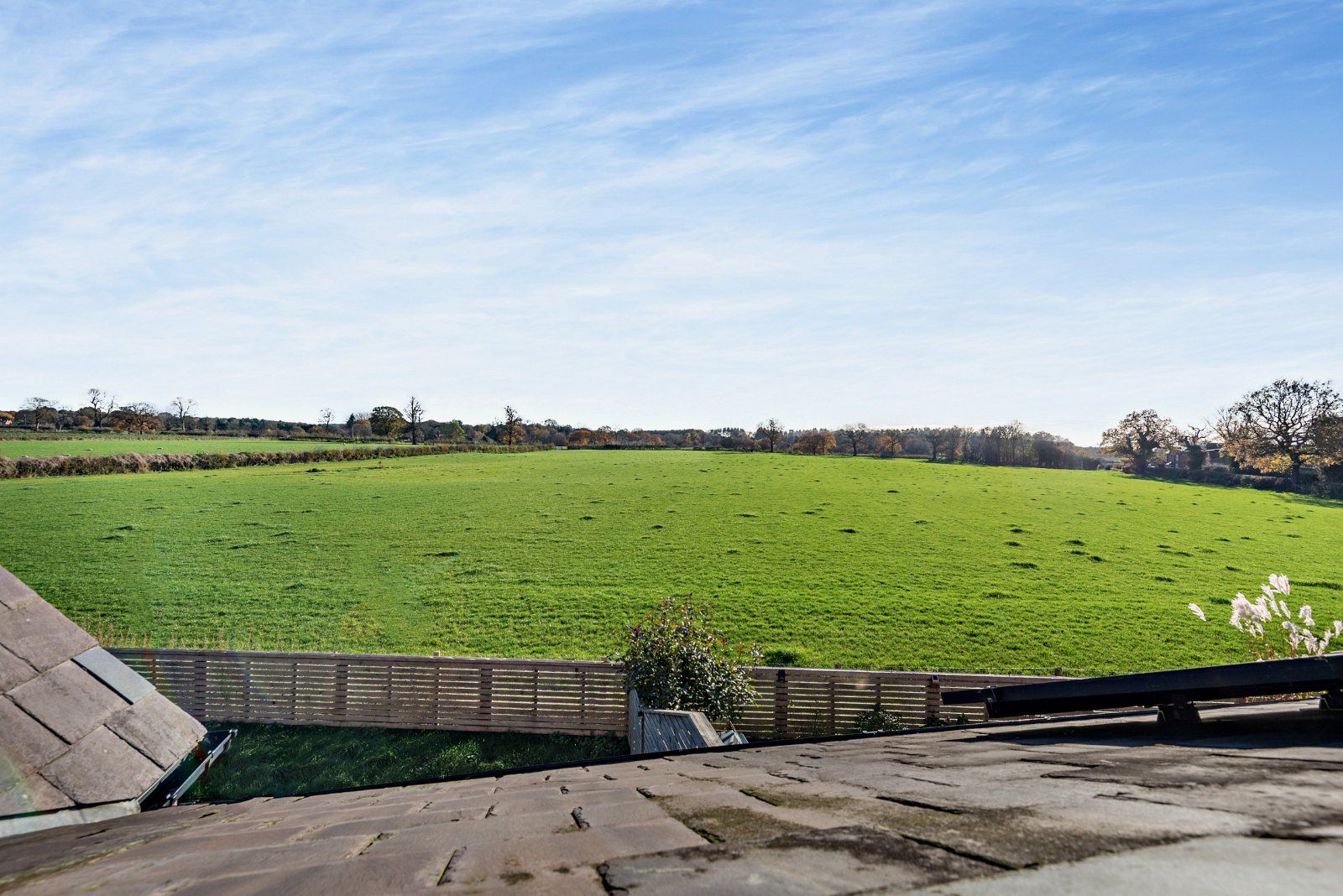 View From Garden