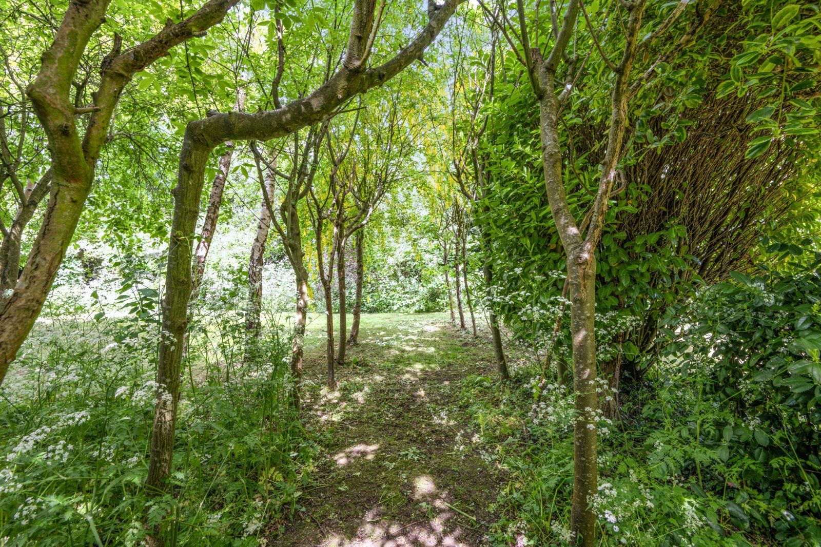 Grounds