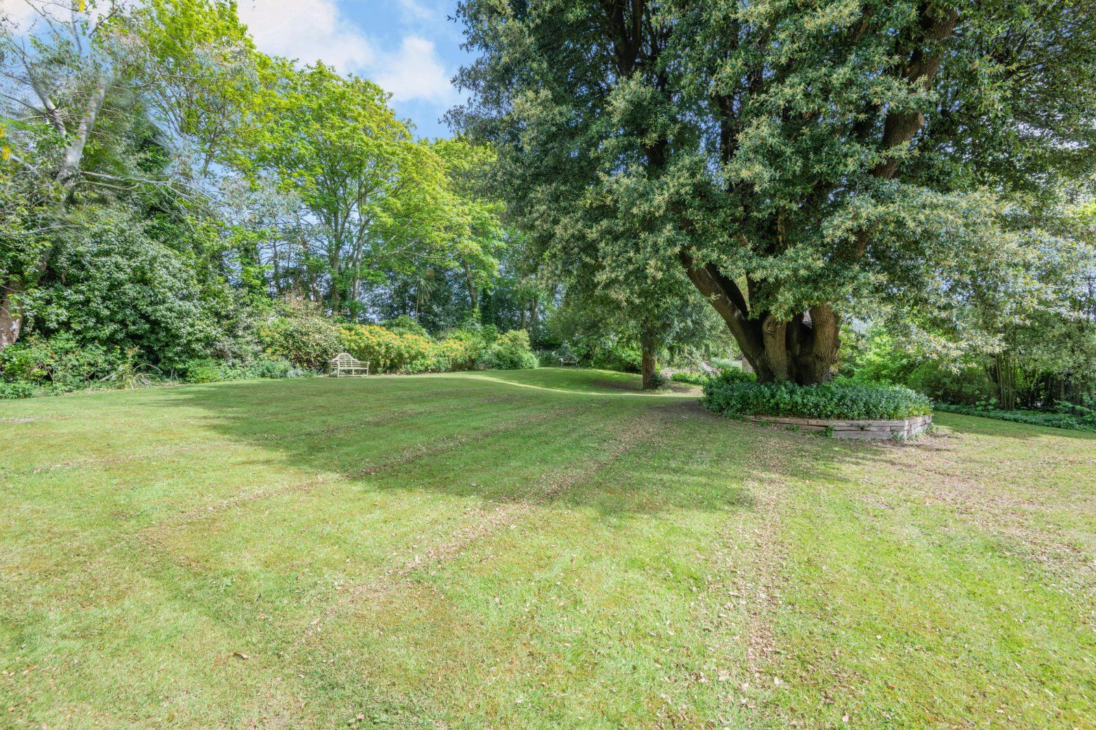 Grounds