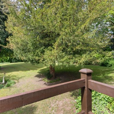 Grounds