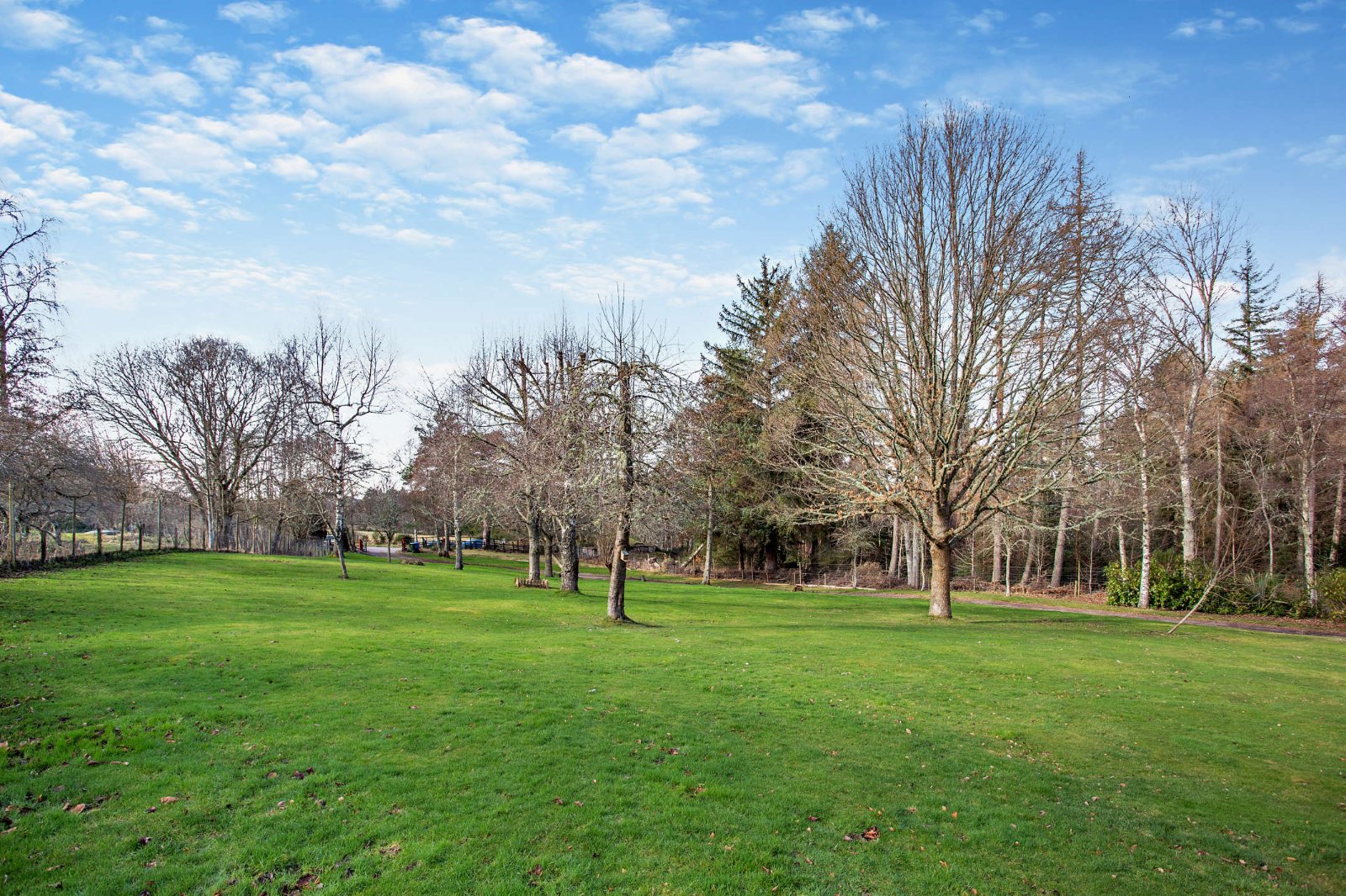 Highgate