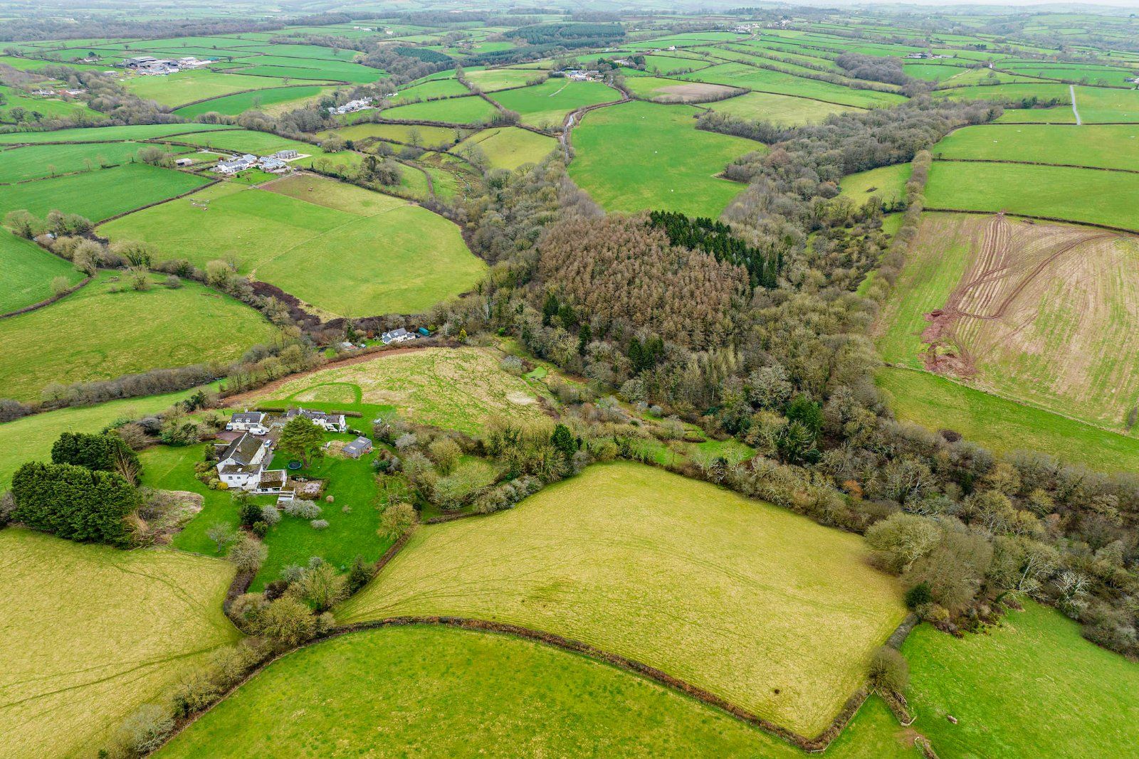 Land and House Drone