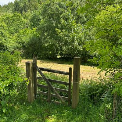 Picnic Meadow