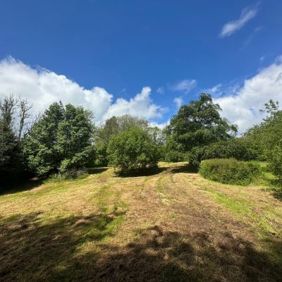 Picnic Meadow