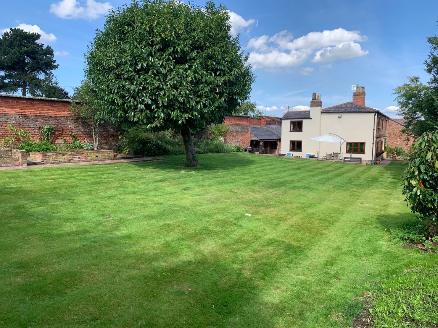 Garden & Raised Beds