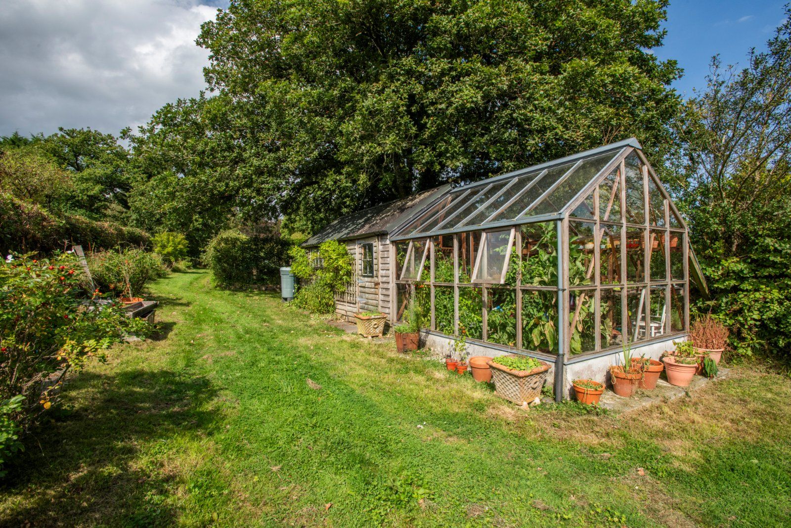 Vegetable Garden