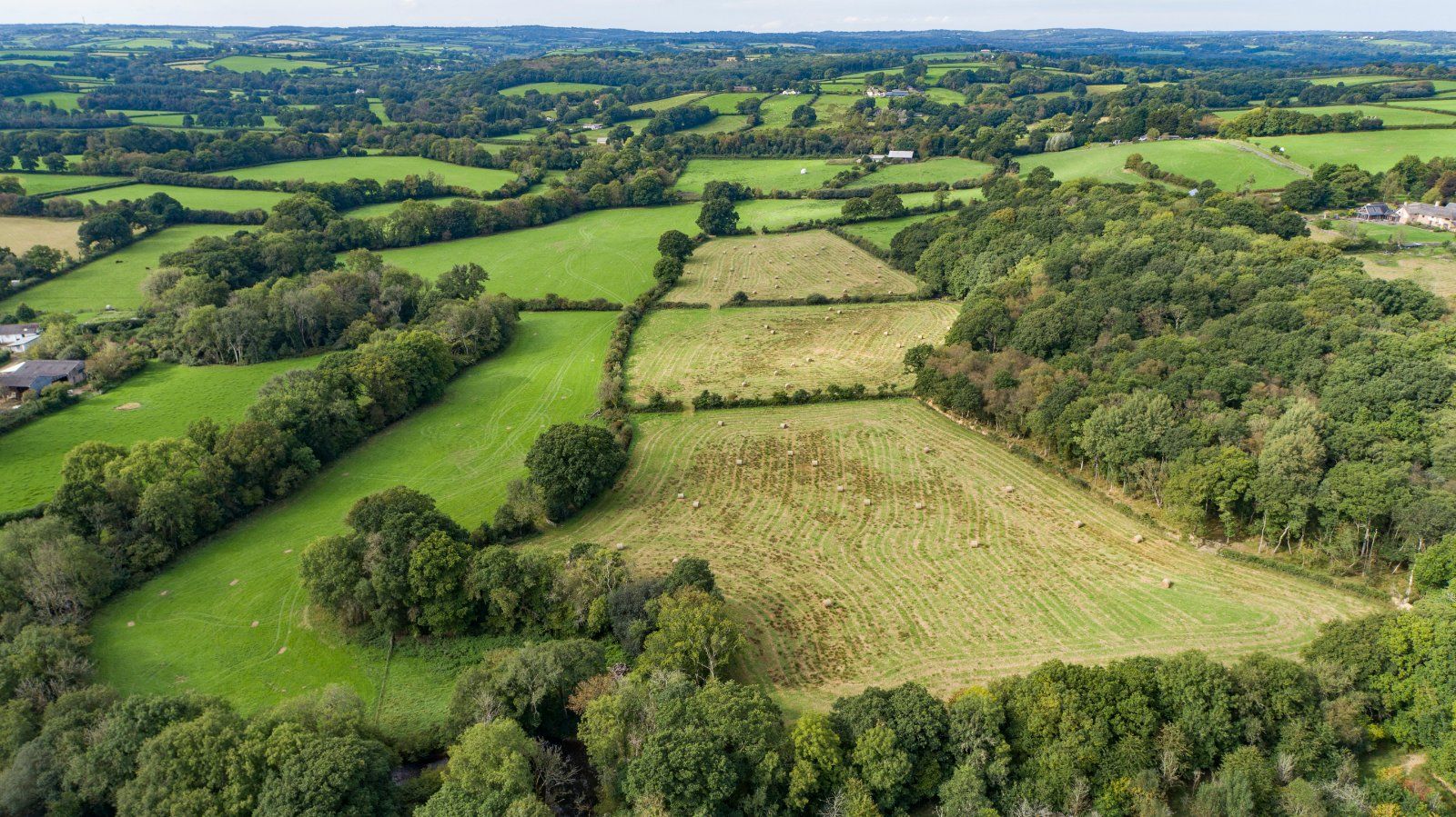 Farmland